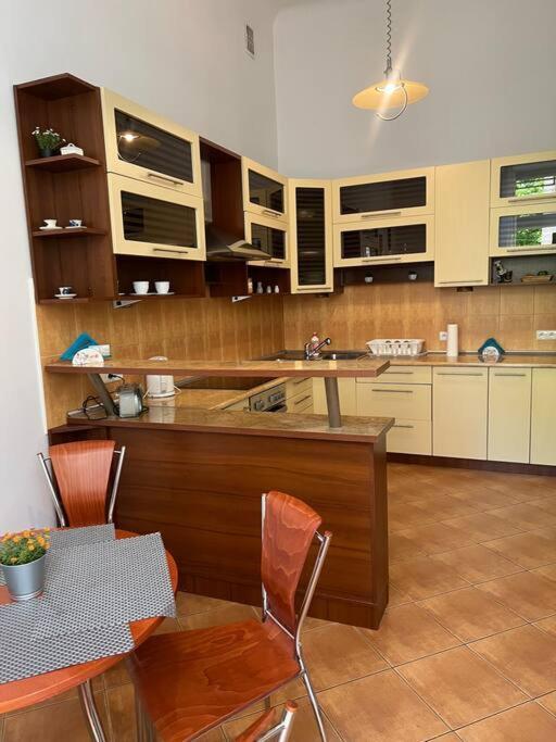 Grodzka / With Balcony Apartament